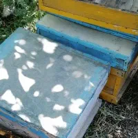 پوکه شان کندو قاب پوکه