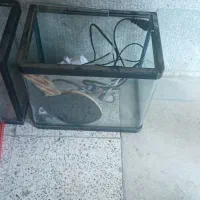 اکواریوم با لوازم جانبی
