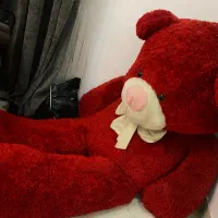 خرس سه متری خارجی سالم