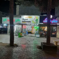 سبزی منجمد