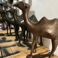علم