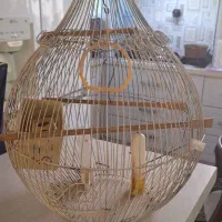 قفس پرنده