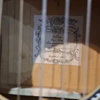 گیتار|گیتار، بیس، امپلیفایر|یزد, |دیوار