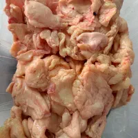 چربی  دمچه  اسکلت