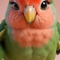 یک پرنده حوالی بلوار طالقانی پیدا شده