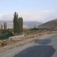 زمین با درختان میوه