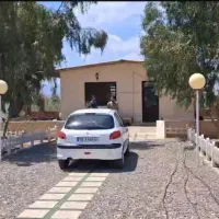 مزرعه و باغ پسته