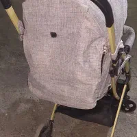 کالسکه ریچ کیدز