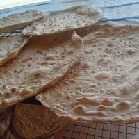 استخدام شاطر