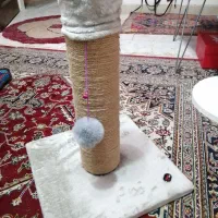 اسکرچر گربه