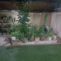 همخونه میخام