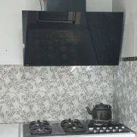 هود آلتون سالم