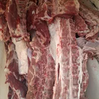 بیخص کار  راسته گوساله