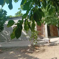 فروش باغ در ابراهیم اباد