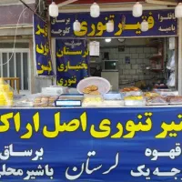 نیروی فتیرپزی