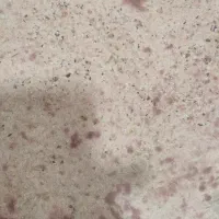 شاگرد خانم
