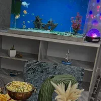 فروش آکواریوم