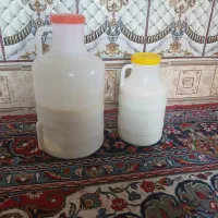 شیر تازه