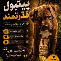عاشق قدرت نمایی سگ پیت بول