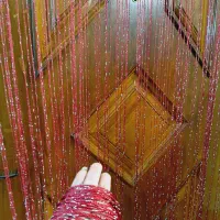 پرده ریشه ای (ریش ریش)