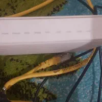 وای فای هاوایی