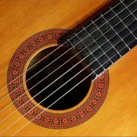 آموزش گیتار توسط مدرس بانو