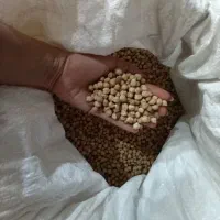 نخود کرمانشاه