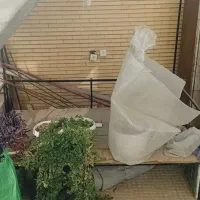 تخت چایخانه