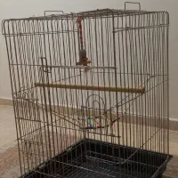 قفس پرنده