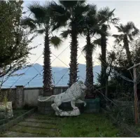 فروش-300-متر-زمین-شهرکی-در-گلستان-ایزدشهر