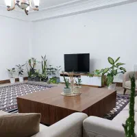 گلدان|گل و گیاه طبیعی|گنبد کاووس, |دیوار