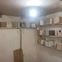 لانه مرغ عشق