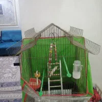 قفس پرنده