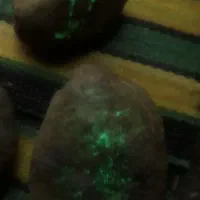 گوهر|جواهرات|نیشابور, کریم آباد|دیوار