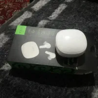 ارپاد نوسالم