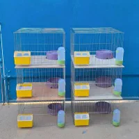 جفتکن تاشو بدون کفی