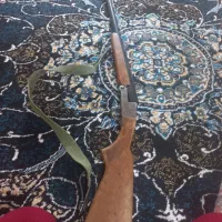 فروش یک راس گوسفند قوچ کیلویی ۸۰۰هزار تومان