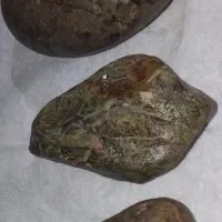 سنگهای کلکسیونی مشکوک به شهاب سنگ