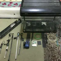 آکواریوم شرکتی