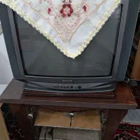 تلویزیون