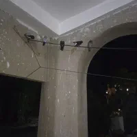 فروش