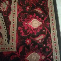 کفی تیگو7پروبابل