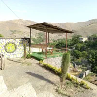 سوئیت زشک