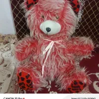 فروش یک عدد خرس عروسکی نو