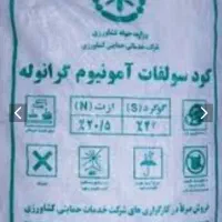 کودپتاس سولفات