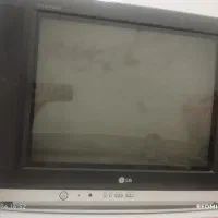 تلوزیون