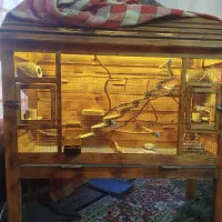 دو عدد قفس پرنده