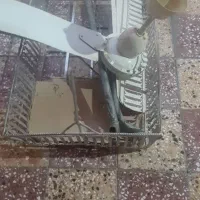 پنکه سقفی