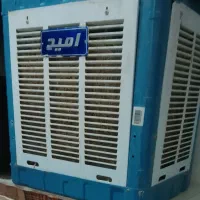 کولرابی