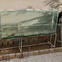 آکواریوم